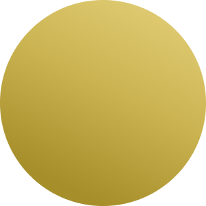 Silver / Gold / Black