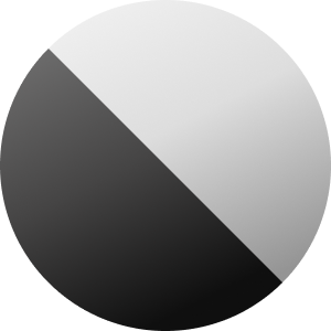 Silver / Black