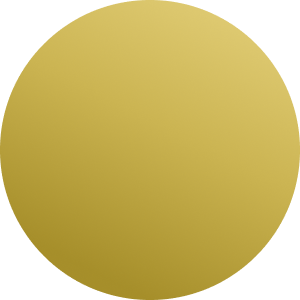 Silver / Gold / Black