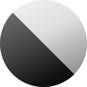Silver / Black