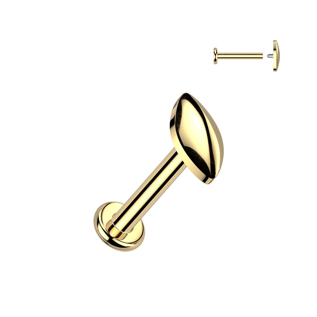 Labret Piercings | Bodymod