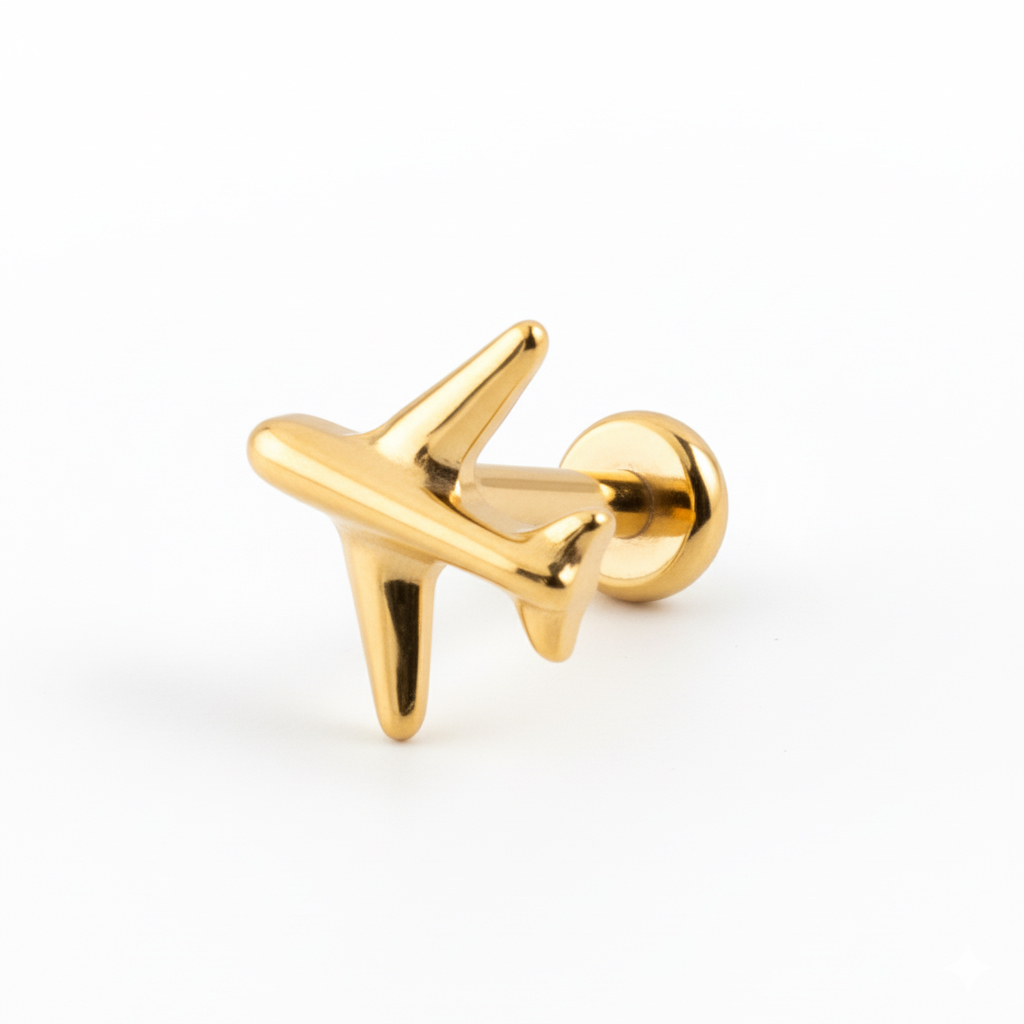 Titanium aeroplane labret