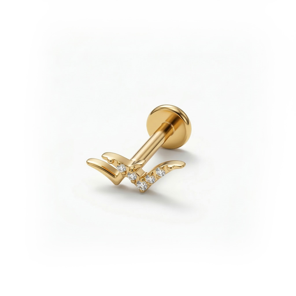 Titanium birds labret