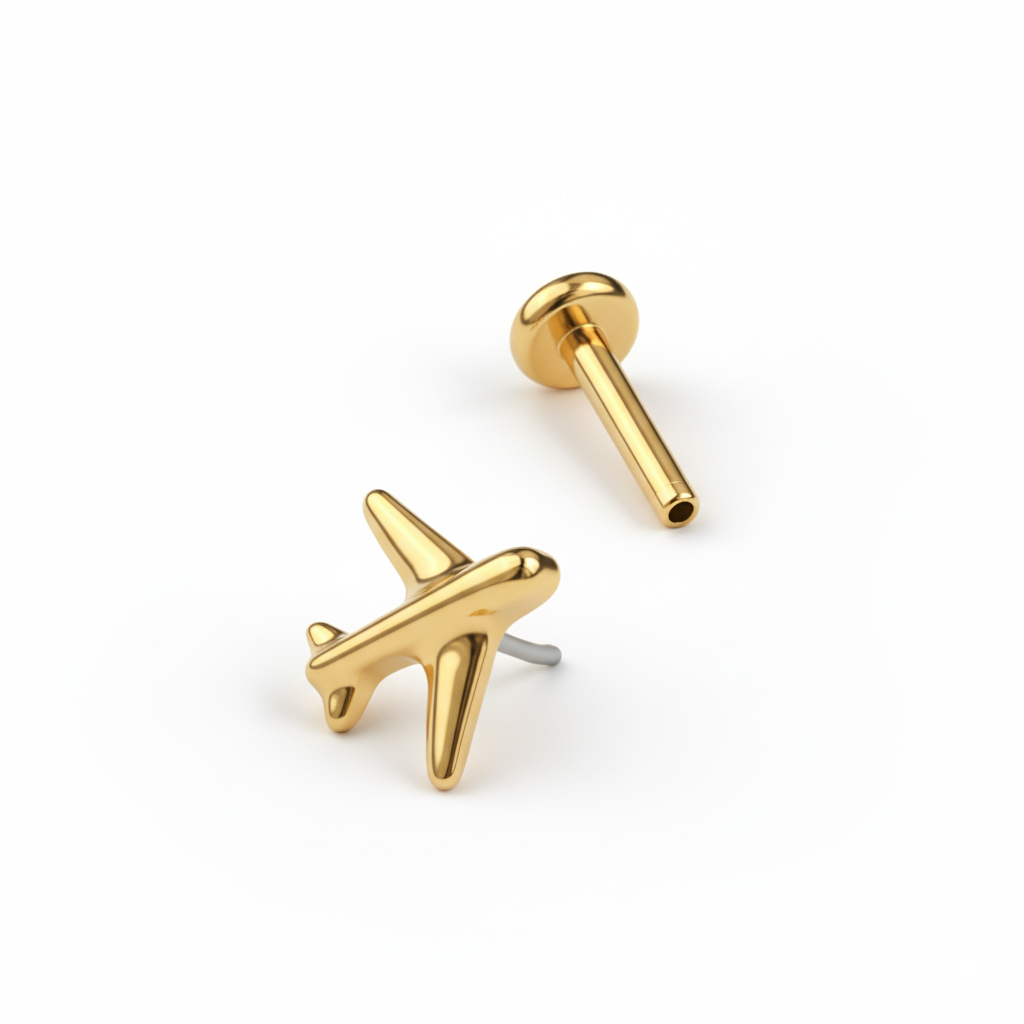 Titanium aeroplane labret