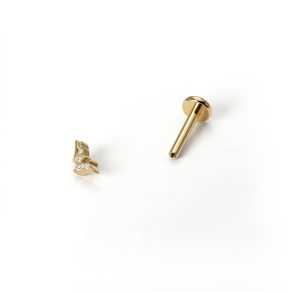 Titanium birds labret